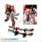 MBF-P02 Gundam Astray Red Frame Clear Armor and Sword Set - Out of the box 1
